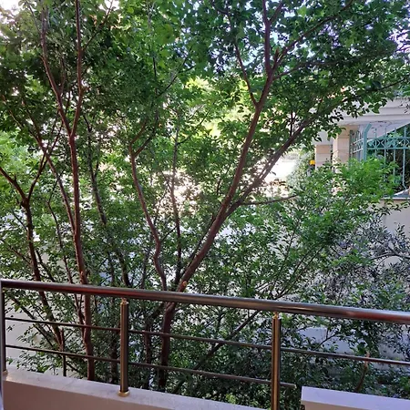 Vloras Paradise *